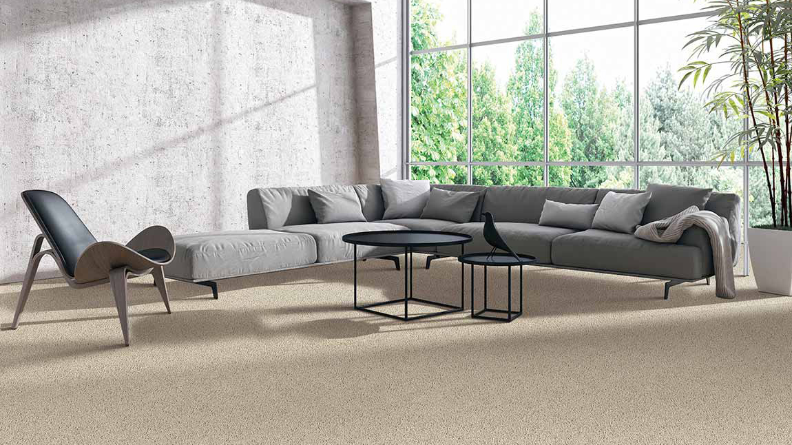 Carpet in a living room, installation services available.